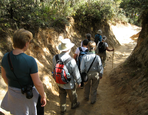 Group of people hiking.