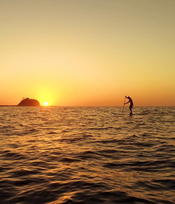 Stand up paddle board in the sunset