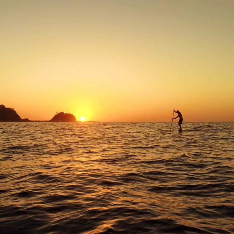 Stand up paddle surfer in front of a sunset.